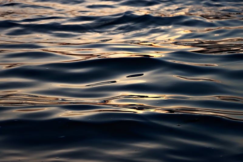 Ripple Cryptocurrency